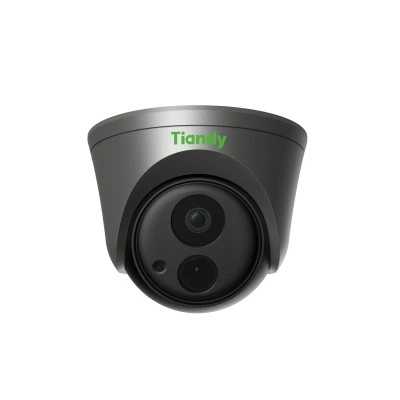 Камера-IP TIANDY TC-A52F2 2/E/6мм Камера-IP TIANDY TC-A52F2 2/E/6мм